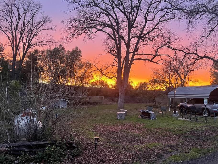 Sierra Sunset Cottage -Yosemite Area Vacation Cottage Ahwahnee Exteriör bild