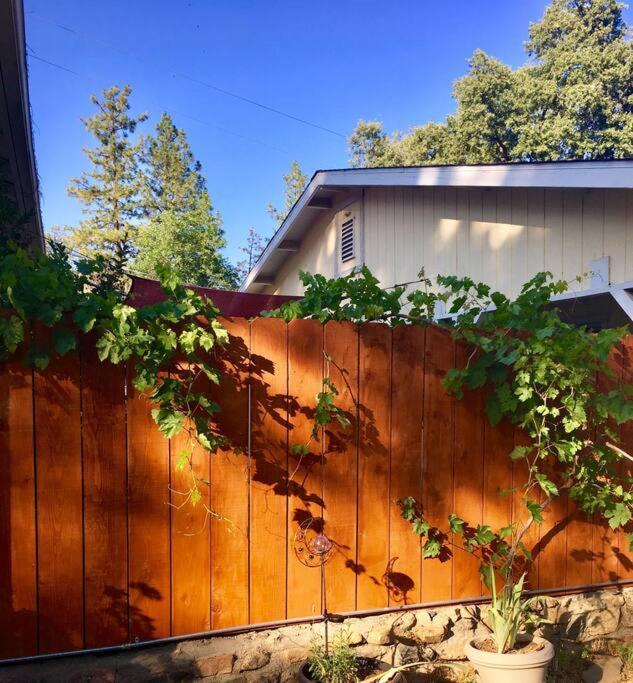 Sierra Sunset Cottage -Yosemite Area Vacation Cottage Ahwahnee Exteriör bild